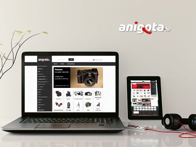 Anigota